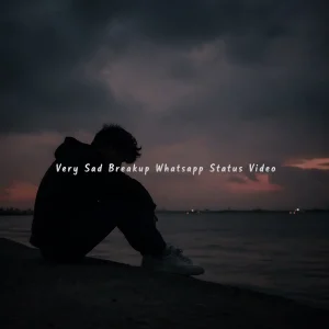 Very Sad Breakup Whatsapp Status Video