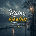 Rainy Weather Whatsapp Status Video