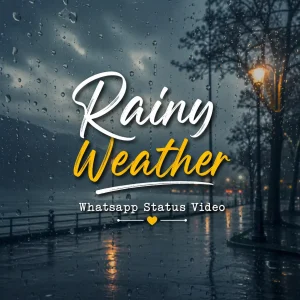 Rainy Weather Whatsapp Status Video