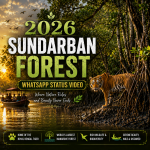 Sundarban Forest 2026 Whatsapp Status Video